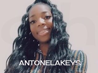 ANTONELAKEYS