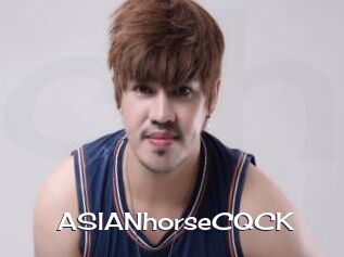 ASIANhorseCQCK