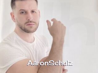 AaronSchulz