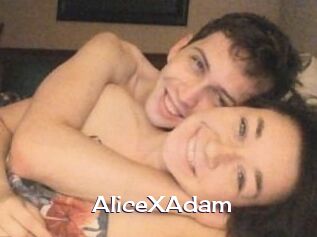 Alice_X_Adam