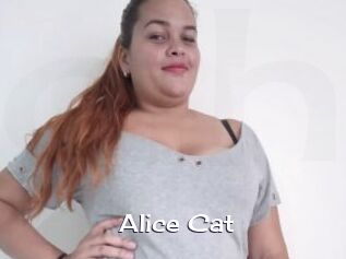 Alice_Cat