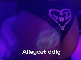 Alleycat_ddlg