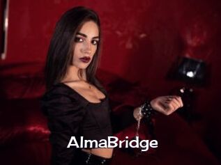 AlmaBridge