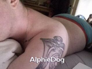 Alphie_Dog