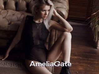 AmeliaGate