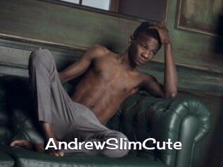 AndrewSlimCute