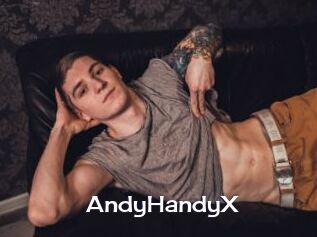 AndyHandyX