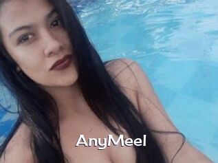 AnyMeel