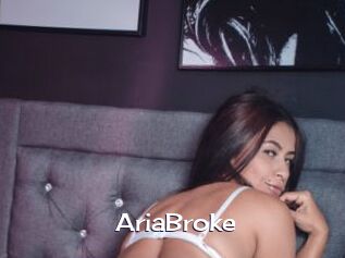 AriaBroke