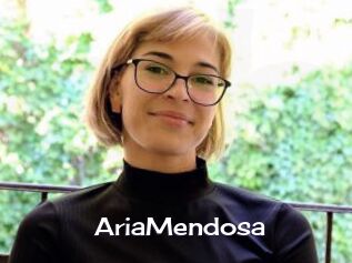 AriaMendosa