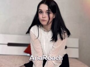 AriaRoach