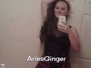 AriesGinger