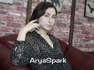 AryaSpark