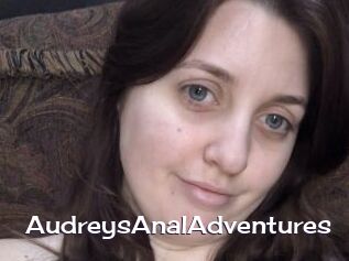 AudreysAnalAdventures