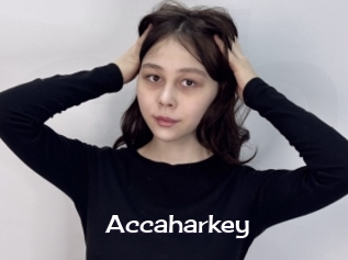 Accaharkey