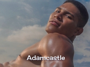 adamcastle Click here to exit