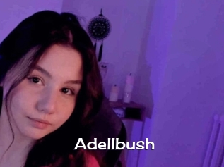 Adellbush