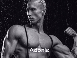 Adonis