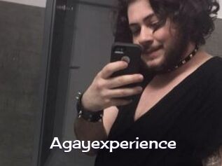 Agayexperience