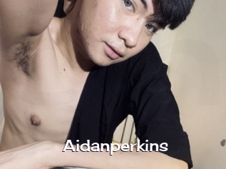 Aidanperkins