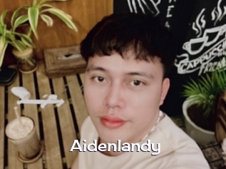 Aidenlandy