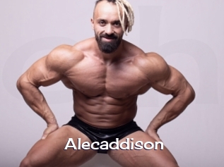 Alecaddison