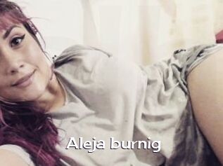 Aleja_burnig