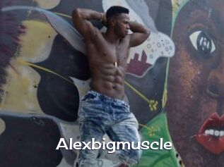 Alexbigmuscle