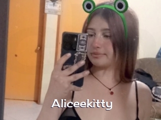 Aliceekitty