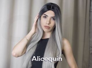 Alicequin