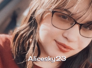 Alicesky23