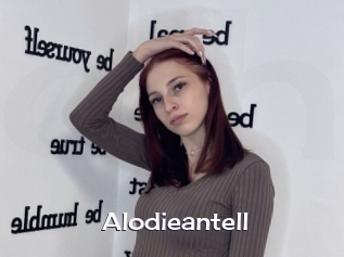 Alodieantell