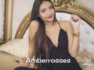 Amberrosses