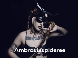 Ambrosiaspideree