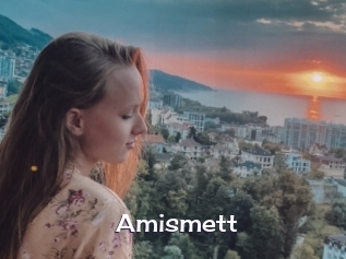 Amismett