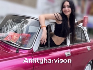 Amityharvison