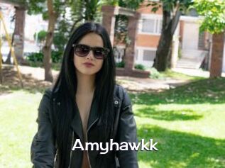 Amyhawkk