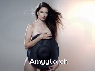 Amyytorch