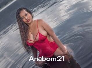 Anabom21