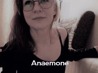 Anaemone