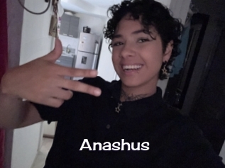 Anashus