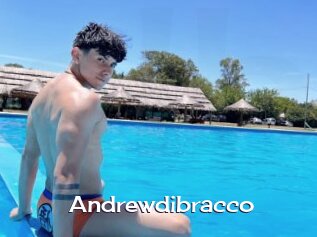 Andrewdibracco