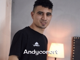 Andyconort