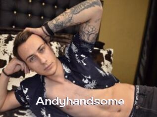 Andyhandsome