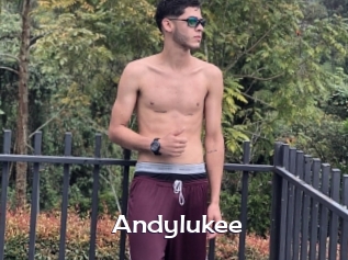 Andylukee