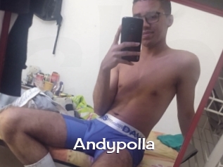 Andypolla