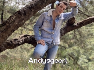 Andysgeert