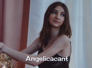 Angelicacant