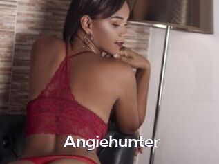 Angiehunter