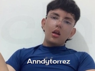 Anndytorrez